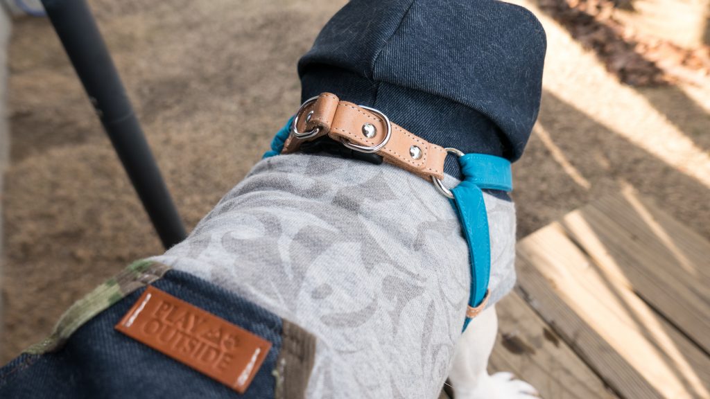 20170303 こてつハーネス-2