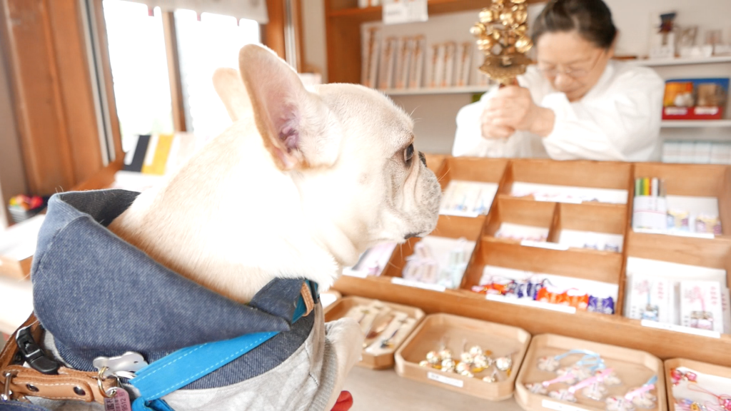 スクリーンショット 2017-03-26 10.22.27