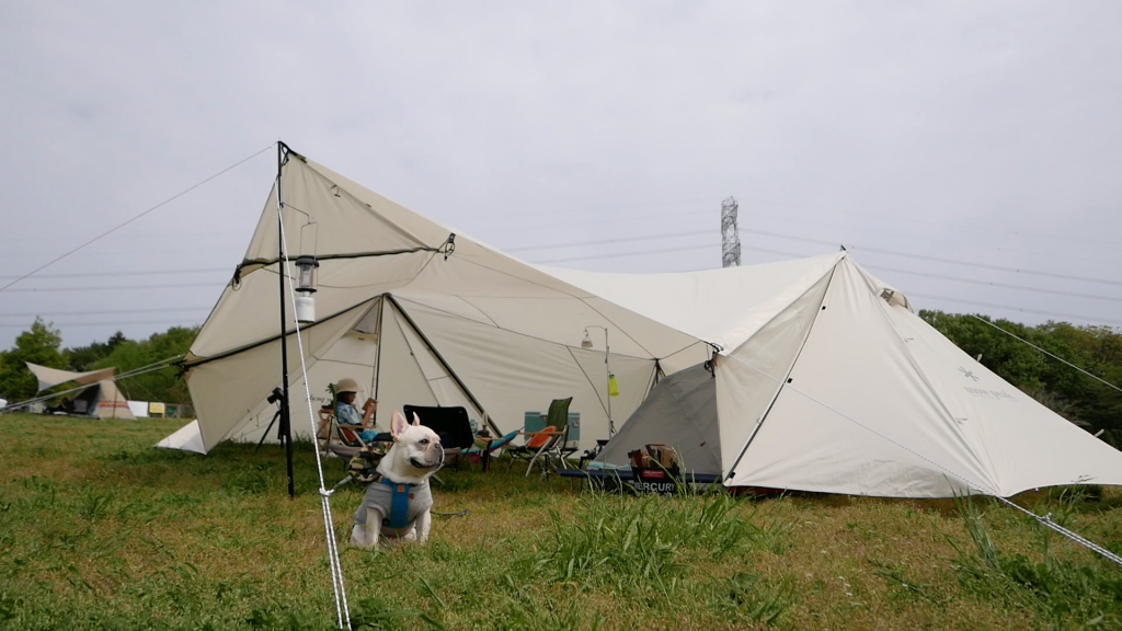 ランドステーションアイボリー