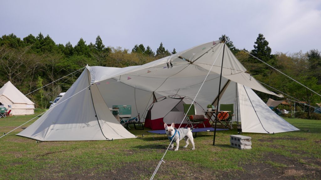 ランドステーションアイボリー