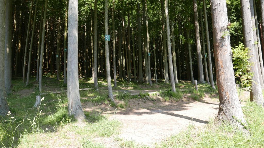 四尾連湖グリーンサイト