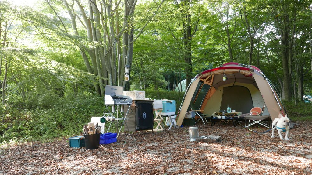 トルテュライト