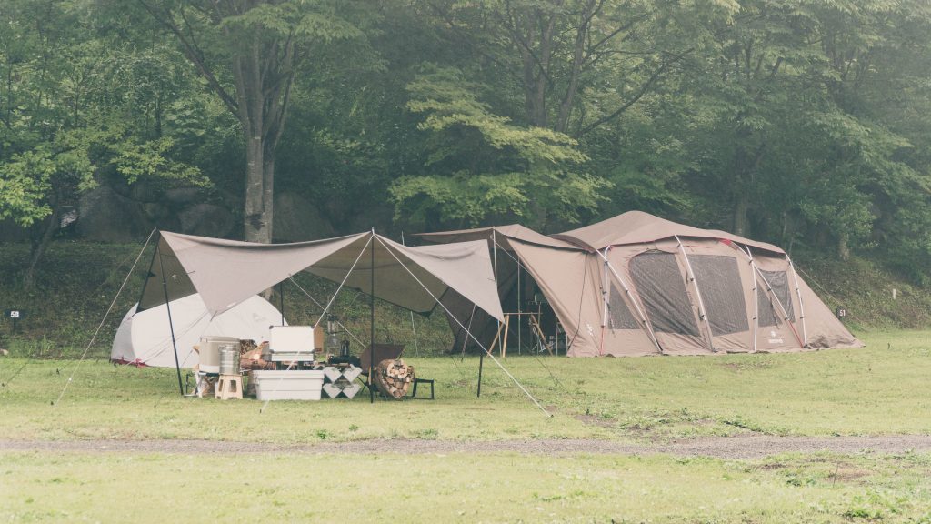 トルテュproとDDタープ